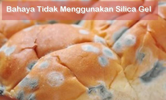 roti berjamur karena tidak pakai silica gel